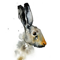 Ester Visual: Rusakko 50x70 cm