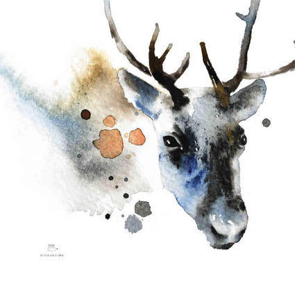 Ester Visual: Poro A4, 21x30 cm