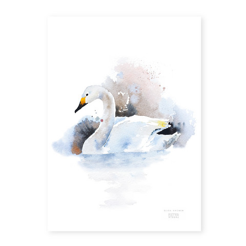 Ester Visual: Laulujoutsen A4, 21x30 cm