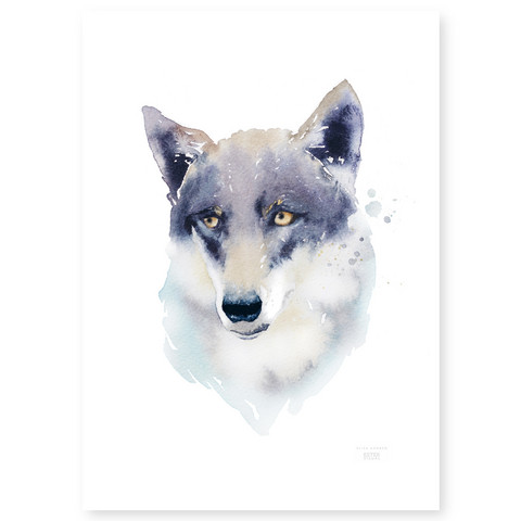Ester Visual: Susi 50x70 cm