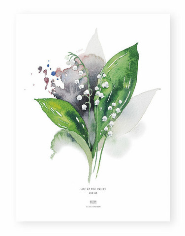 Ester Visual: Kielo A4, 21x30 cm