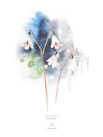 Ester Visual: Vanamo A4, 21x30 cm