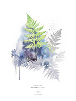 Ester Visual: Metsäalvejuuri A4, 21x30 cm