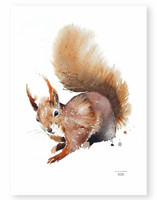 Ester Visual: Orava 50x70 cm