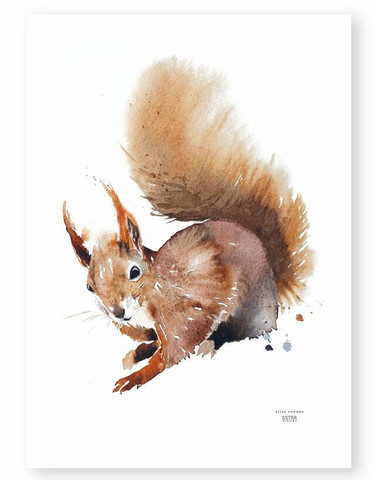 Ester Visual: Orava 50x70 cm