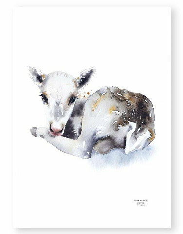 Ester Visual: Poronvasa 50x70 cm