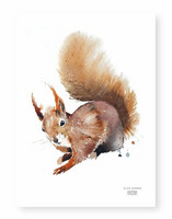 Ester Visual: Orava A4, 21x30 cm