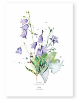 Ester Visual: Kissankello 50x70 cm