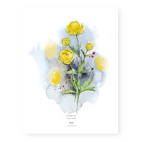 Ester Visual: Kullero 50x70 cm