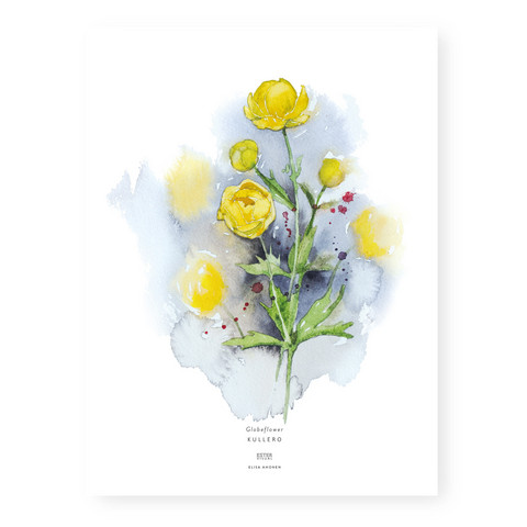 Ester Visual: Kullero 50x70 cm