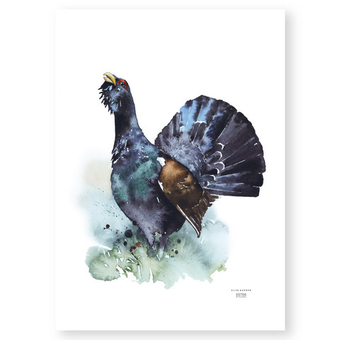 Ester Visual: Metso 50x70 cm