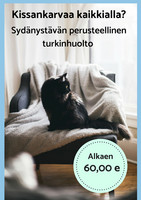Turkinhuolto kissoille