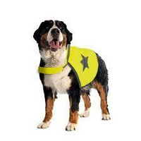 SAFETY JACKET, heijastinliivi XL