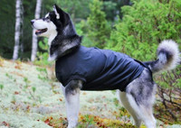Nordic haavasuojapuku 30cm
