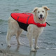 Trixie koiran pelastusliivi XL