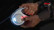 Led -valo Flexi-taluttimiin