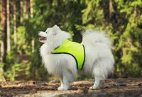 Janutex huomioliivi koko 3,5