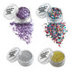 Holiday Fun ECO Glitter Set