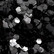Obsidian ECO glitter SPARKLE