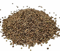 Hampunsiemen 20kg