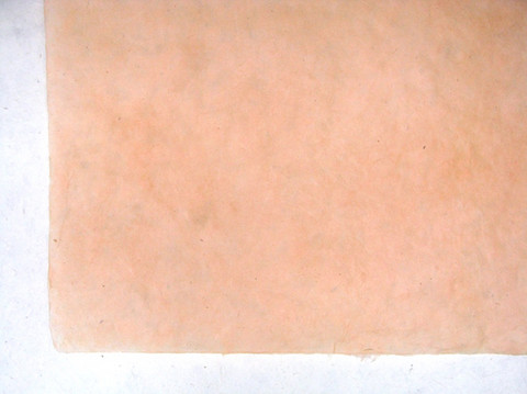 50x75cm persikka EE/30