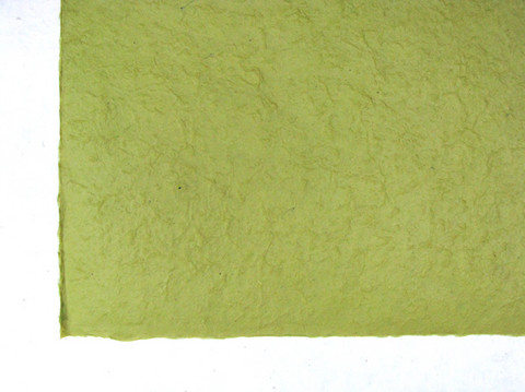 50x75cm salvia1 D/40