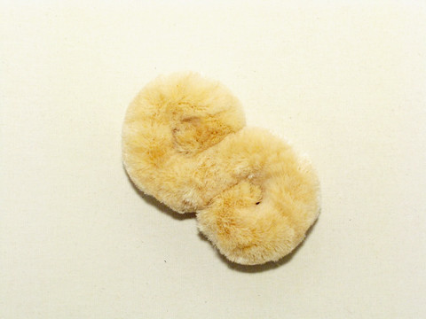 Kuivaharja, S-malli, pieni B12