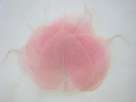 Harsolehti 'pipal' pieni, vaaleanpunainen 10 kpl/paketti