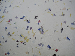 Pv-lumppu ruiskukka,kehäkukka 50 x 75 cm D/40 kalanteroitu