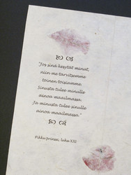 A4 bougainvillea E/25, suora reuna