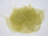 Harsolehti 'pipal' sauge vihreä 10 kpl/paketti