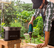 EcoFlow Delta 1300 virta-asema