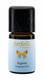 Eteerinen öljy Inkivääri Luomu Grand Cru (Ingwer) 5ml