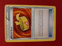 Muscle Band (V.1) 121/146 - XY