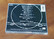 CD-levy (Lynyrd Skynyrd - 1991)