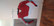 Laskettelusuoja, JR M (Dainese)