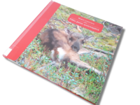 Lasten kierrätyskirja (Martti Lintunen - Pikku poron syntymäpäivä)