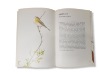 Kirja (Lambert. Mitchell, Malmström - Metsän ja puutarhan lintuja)