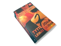 Kirja (Stieg Larson - Tyttö joka leikki tulella)