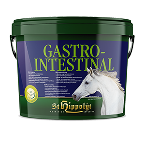 St. Hippolyt Gastrointestinal 3kg
