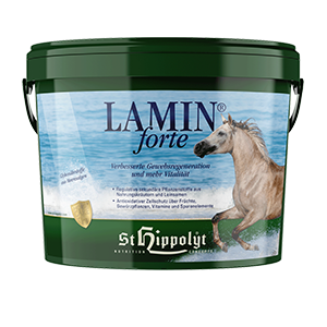 St. Hippolyt Laminforte 3kg TILAUSTUOTE