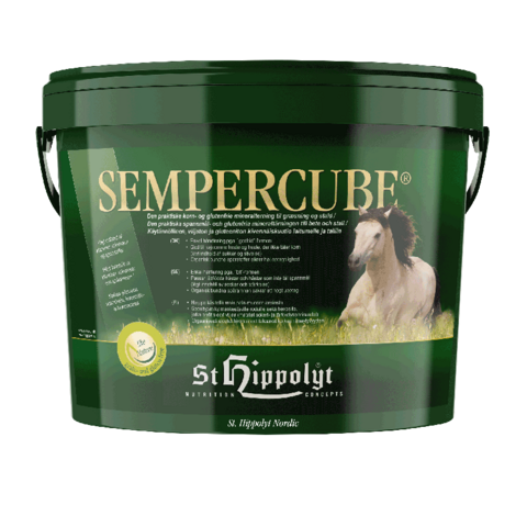 SemberCube kuutio kivennäinen 10 kg