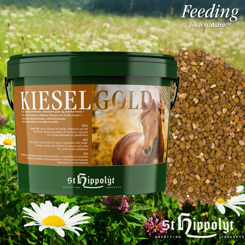 Kieselgold 4kg