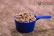 Blue Chip Pro 15kg
