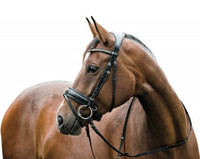 Ergo nivelsuitset Horse Guard
