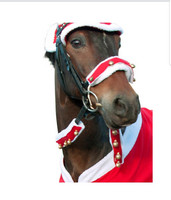 Kulkuskoriste ohjiin/suitsiin