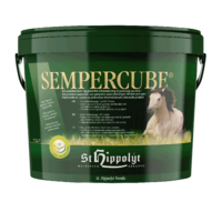 SemberCube kuutio kivennäinen 10 kg