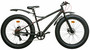 Solifer Pulski 26