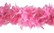 Höyhenpuuhka - Boa pinkki