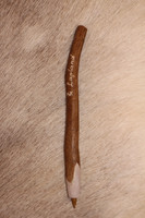 Pen